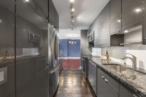 1555 North Sandburg Terrace Chicago IL 60610