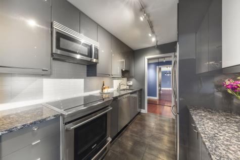 1555 North Sandburg Terrace Chicago IL 60610