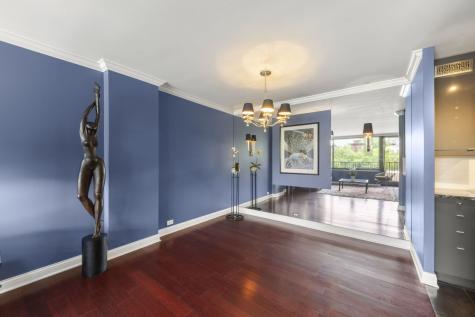 1555 North Sandburg Terrace Chicago IL 60610