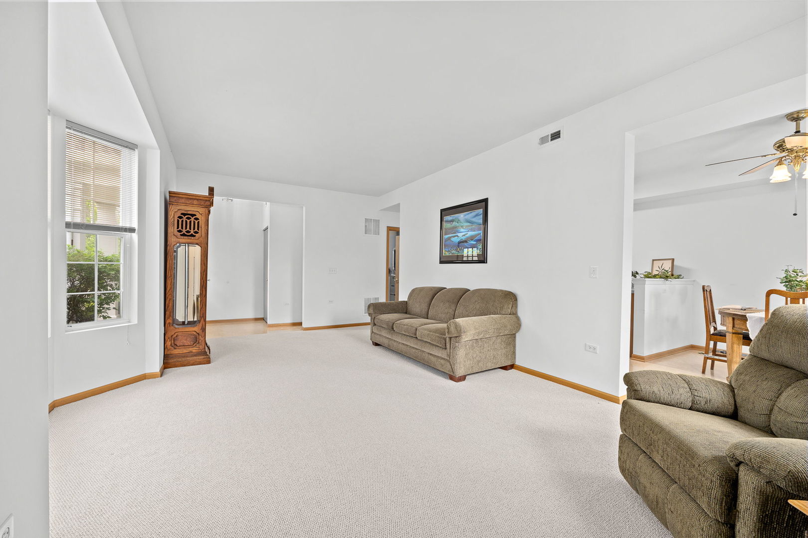24850 West Franklin Lane Plainfield IL 60585