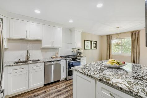 1017 Auburn Lane Buffalo Grove IL 60089