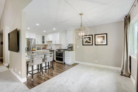 1017 Auburn Lane Buffalo Grove IL 60089