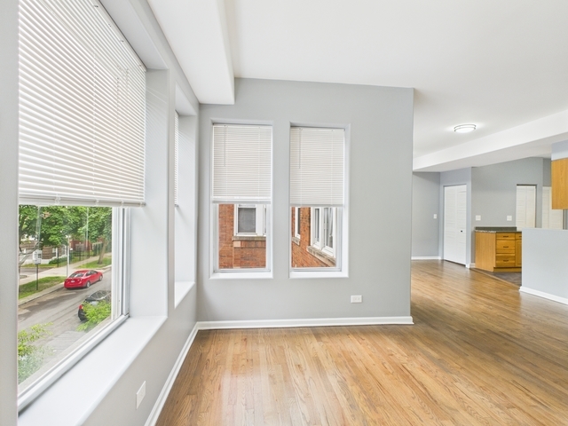 1729 East 67th Street Chicago IL 60649