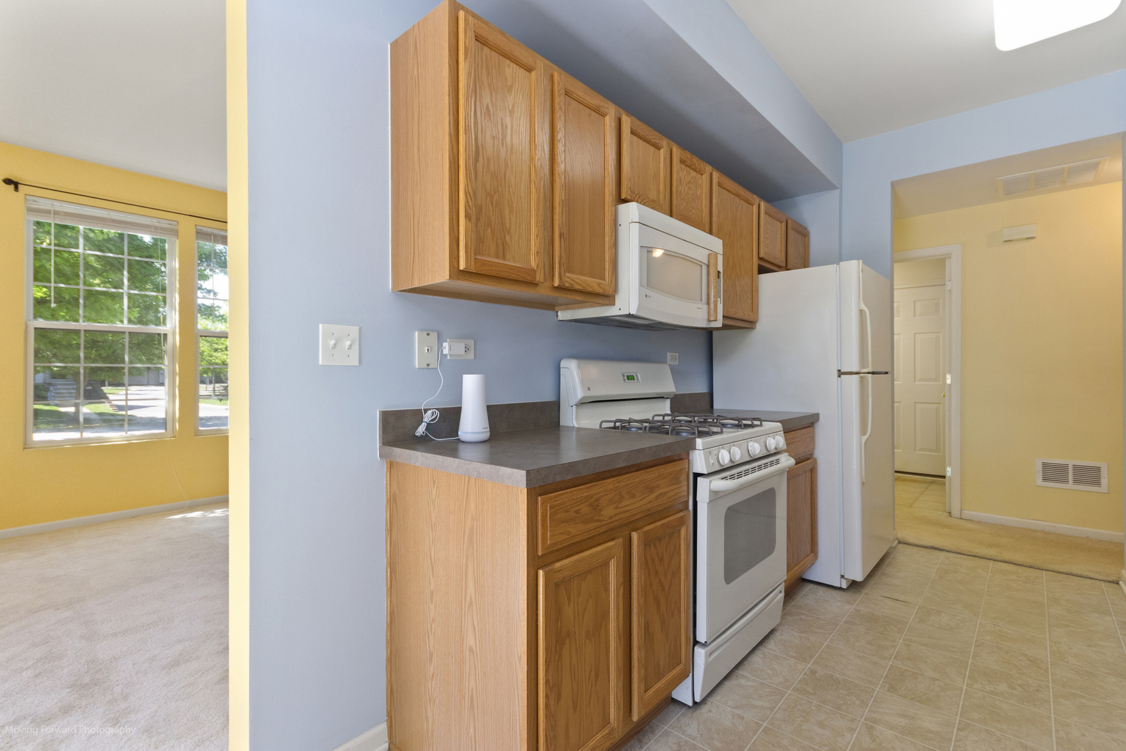 514 Metropolitan Street Aurora IL 60502