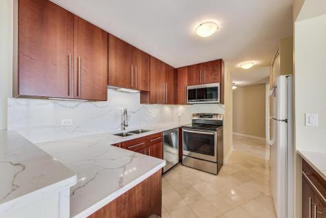 505 North Lake Shore Drive Chicago IL 60611
