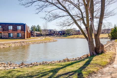 615 Tralee Court Schaumburg IL 60193