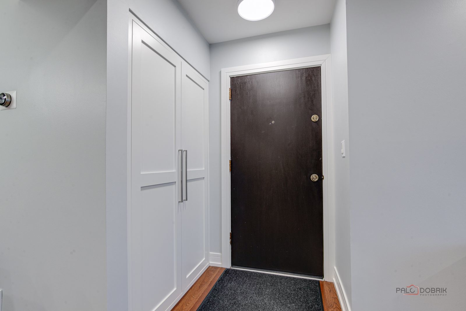 615 Tralee Court Schaumburg IL 60193