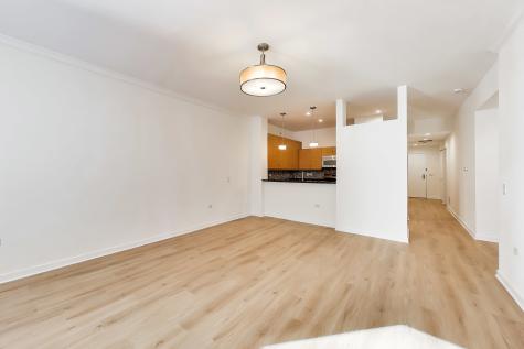 310 South Michigan Avenue Chicago IL 60604