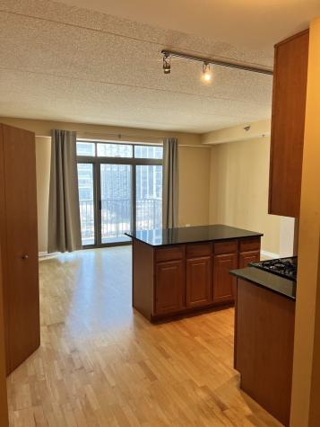 1250 South Indiana Avenue Chicago IL 60605