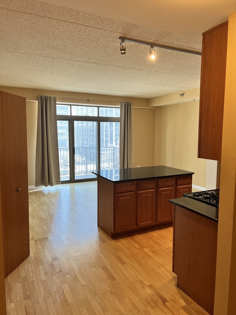 1250 South Indiana Avenue Chicago IL 60605