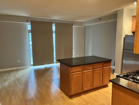 1250 South Indiana Avenue Chicago IL 60605