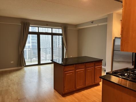 1250 South Indiana Avenue Chicago IL 60605