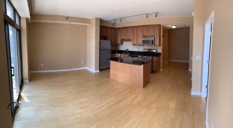 1250 South Indiana Avenue Chicago IL 60605
