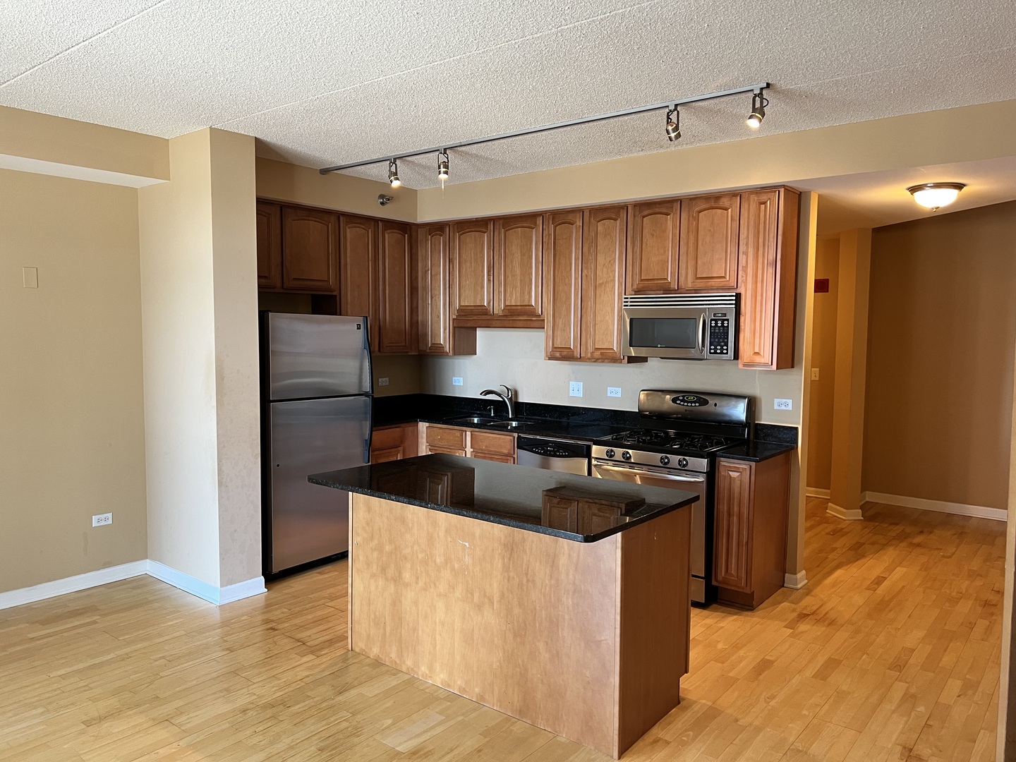 1250 South Indiana Avenue Chicago IL 60605