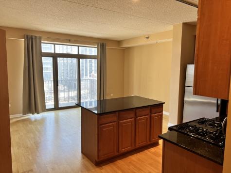 1250 South Indiana Avenue Chicago IL 60605