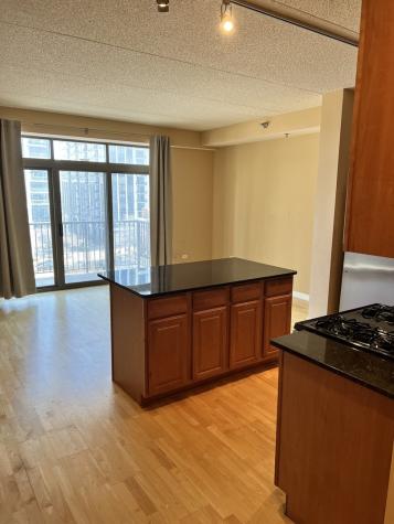 1250 South Indiana Avenue Chicago IL 60605