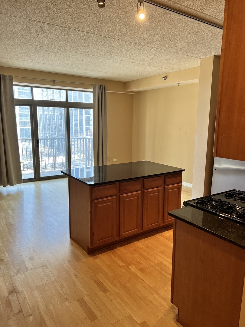 1250 South Indiana Avenue Chicago IL 60605