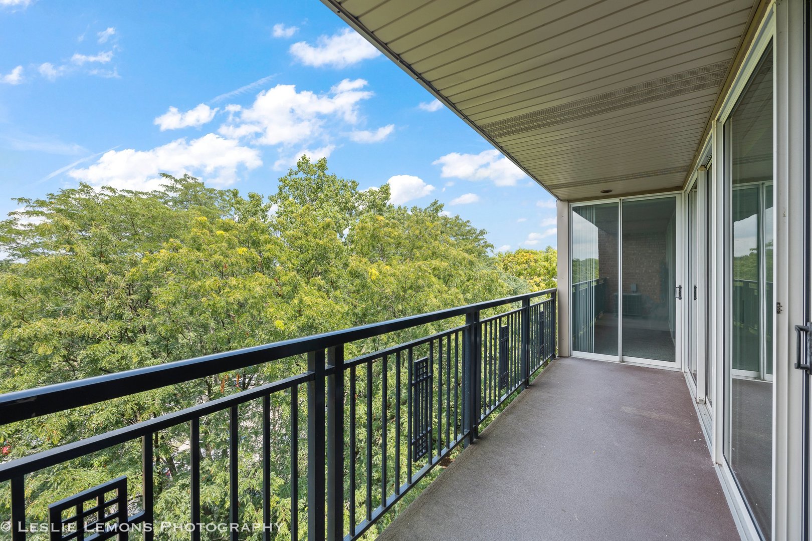 5950 Oakwood Drive Lisle IL 60532