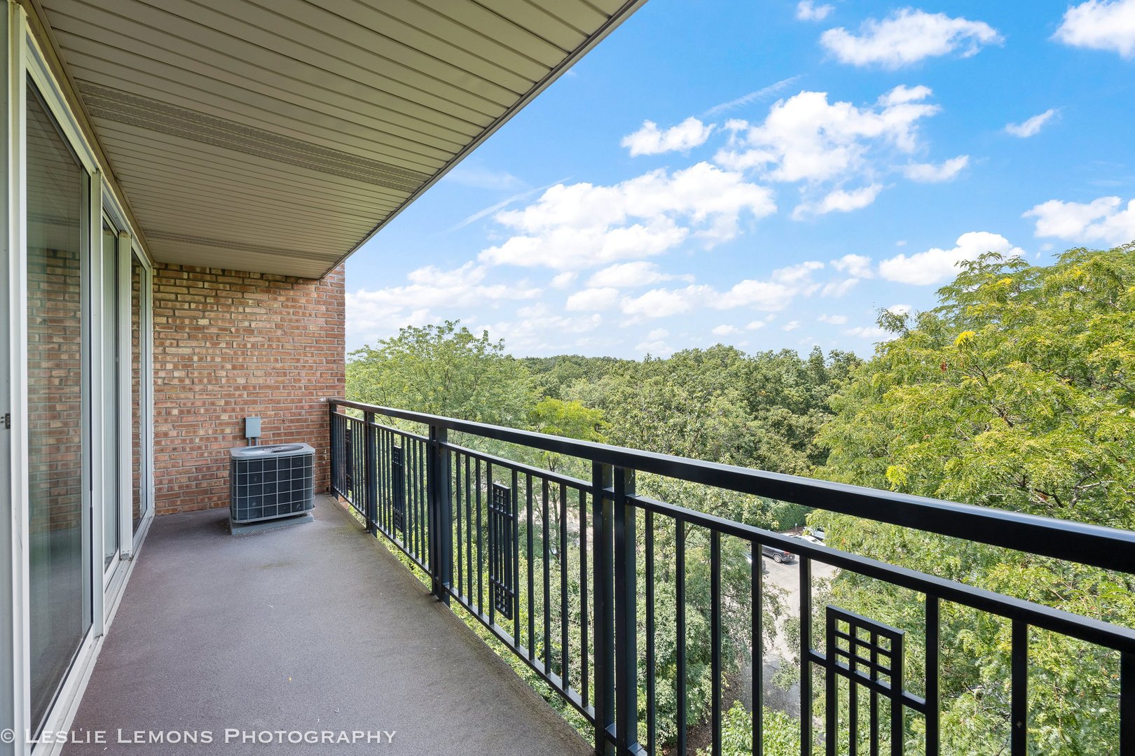 5950 Oakwood Drive Lisle IL 60532