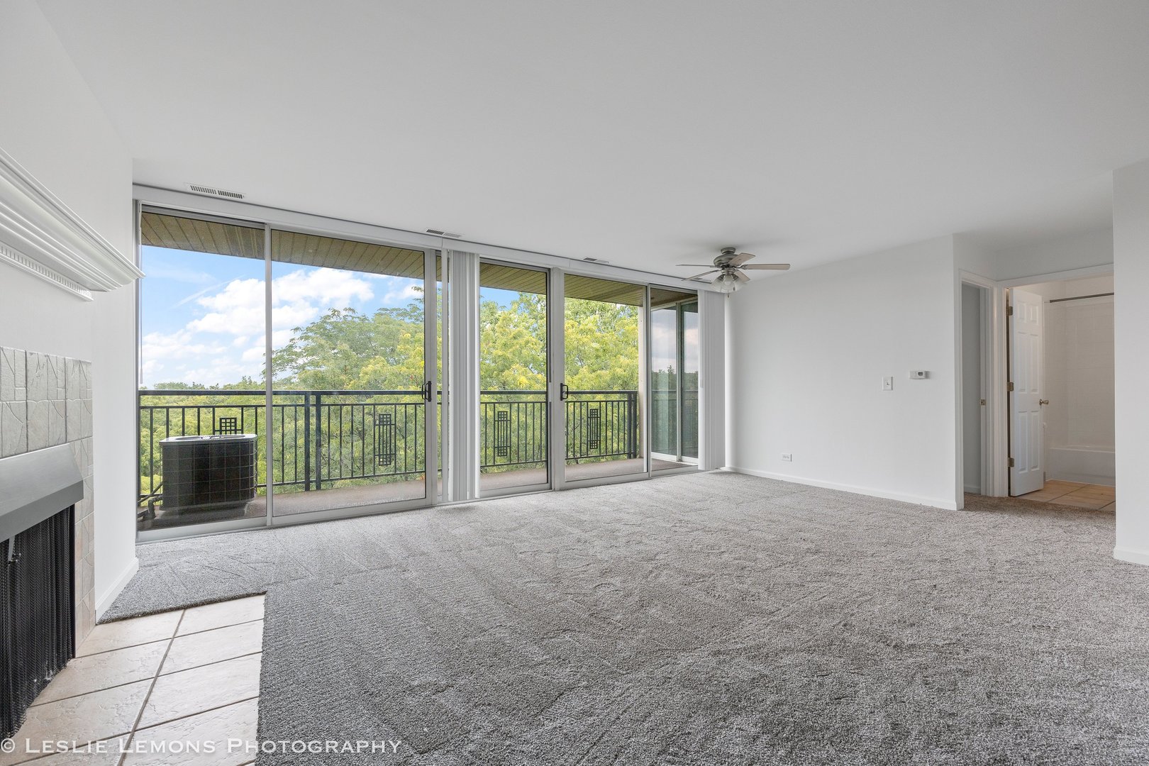 5950 Oakwood Drive Lisle IL 60532