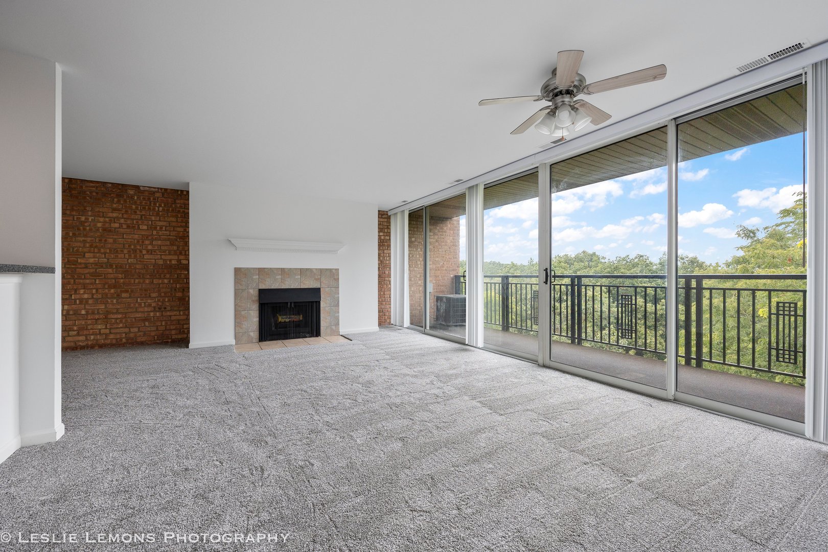 5950 Oakwood Drive Lisle IL 60532