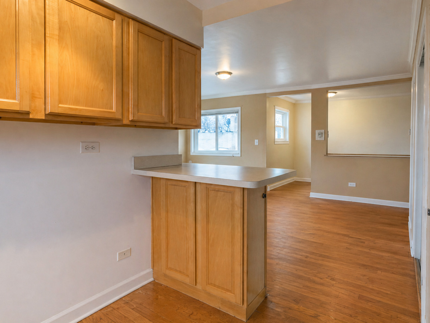7249 North Hamilton Avenue Chicago IL 60645