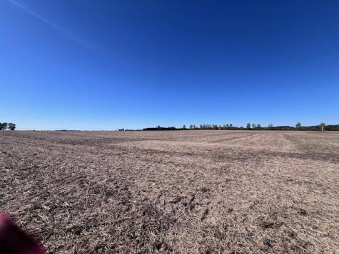 0000 White Pigeon Road Weldon IL 61882