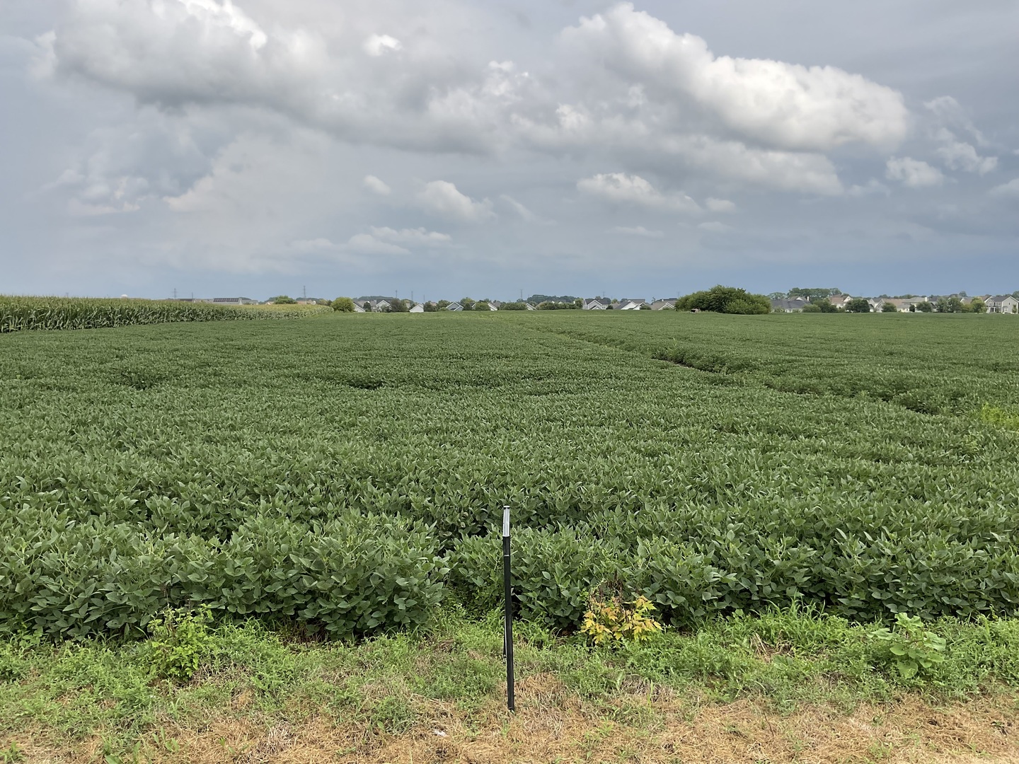 10.38 acres South Heggs Road Plainfield IL 60585