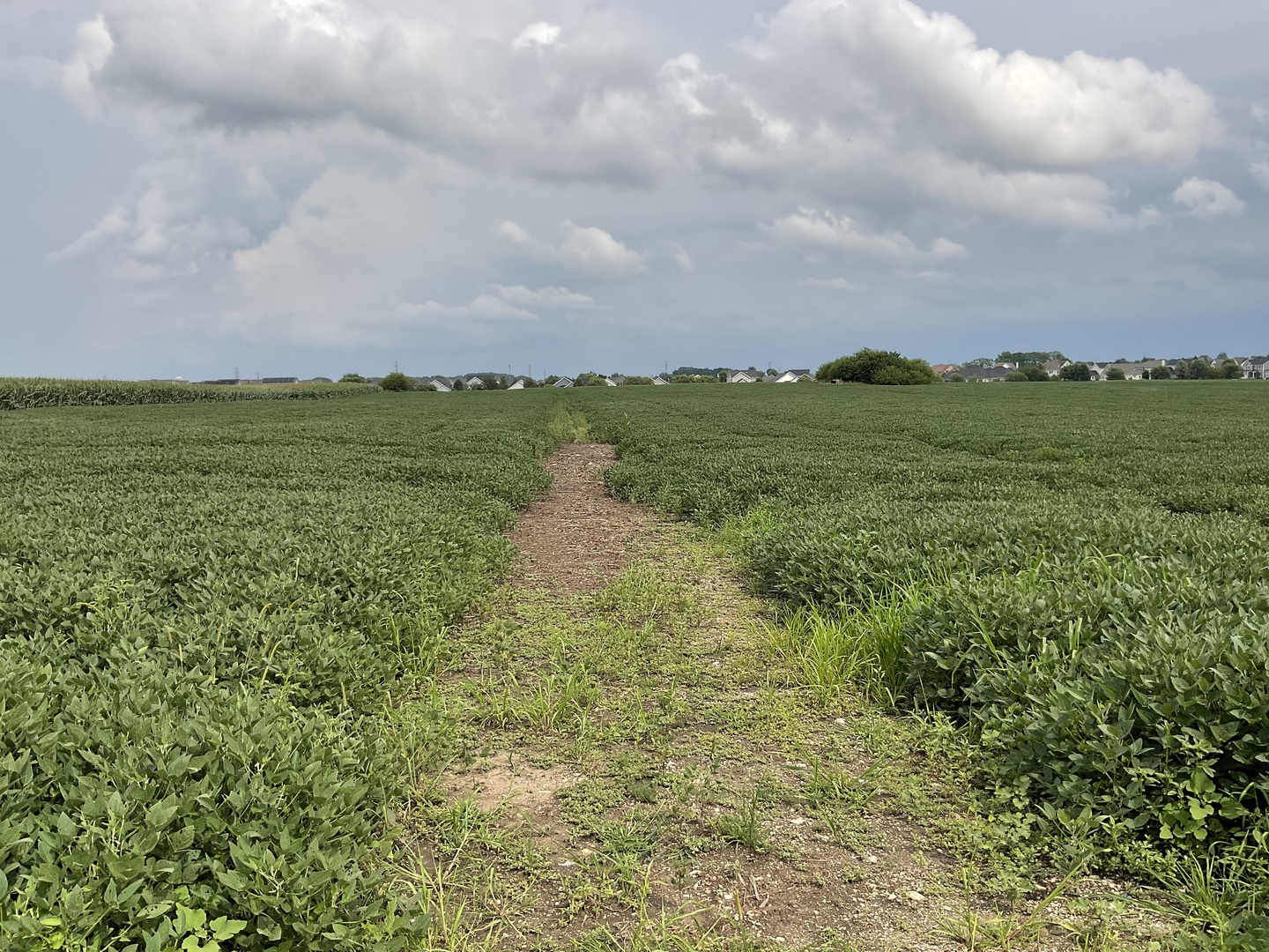 10.38 acres South Heggs Road Plainfield IL 60585