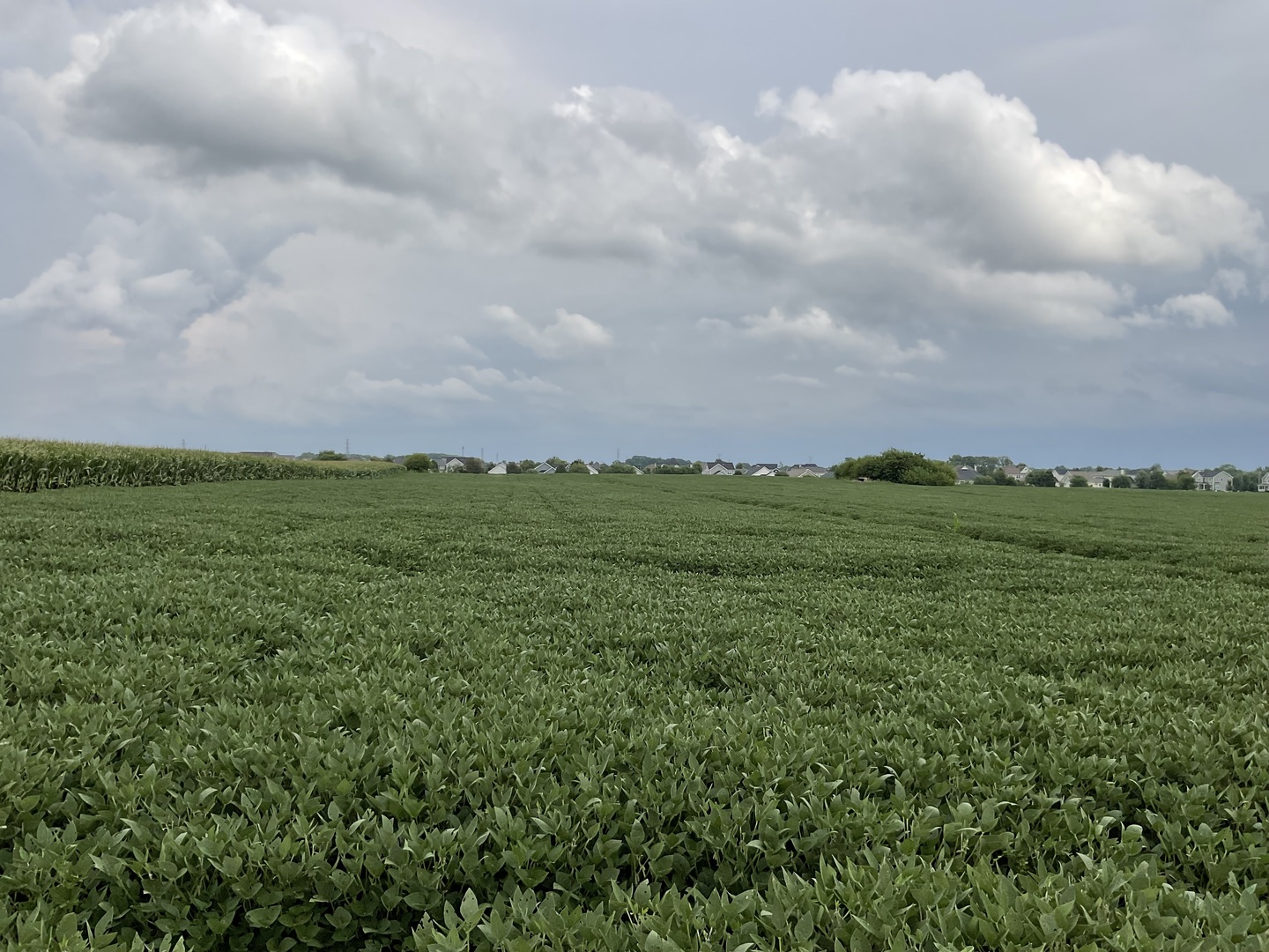10.38 acres South Heggs Road Plainfield IL 60585