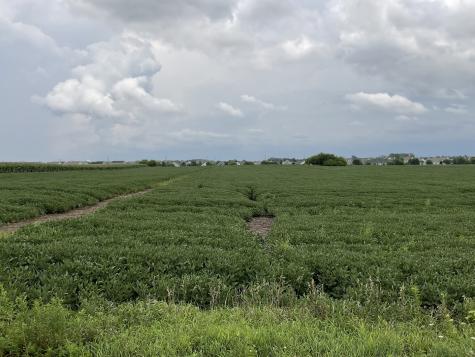 10.38 acres South Heggs Road Plainfield IL 60585