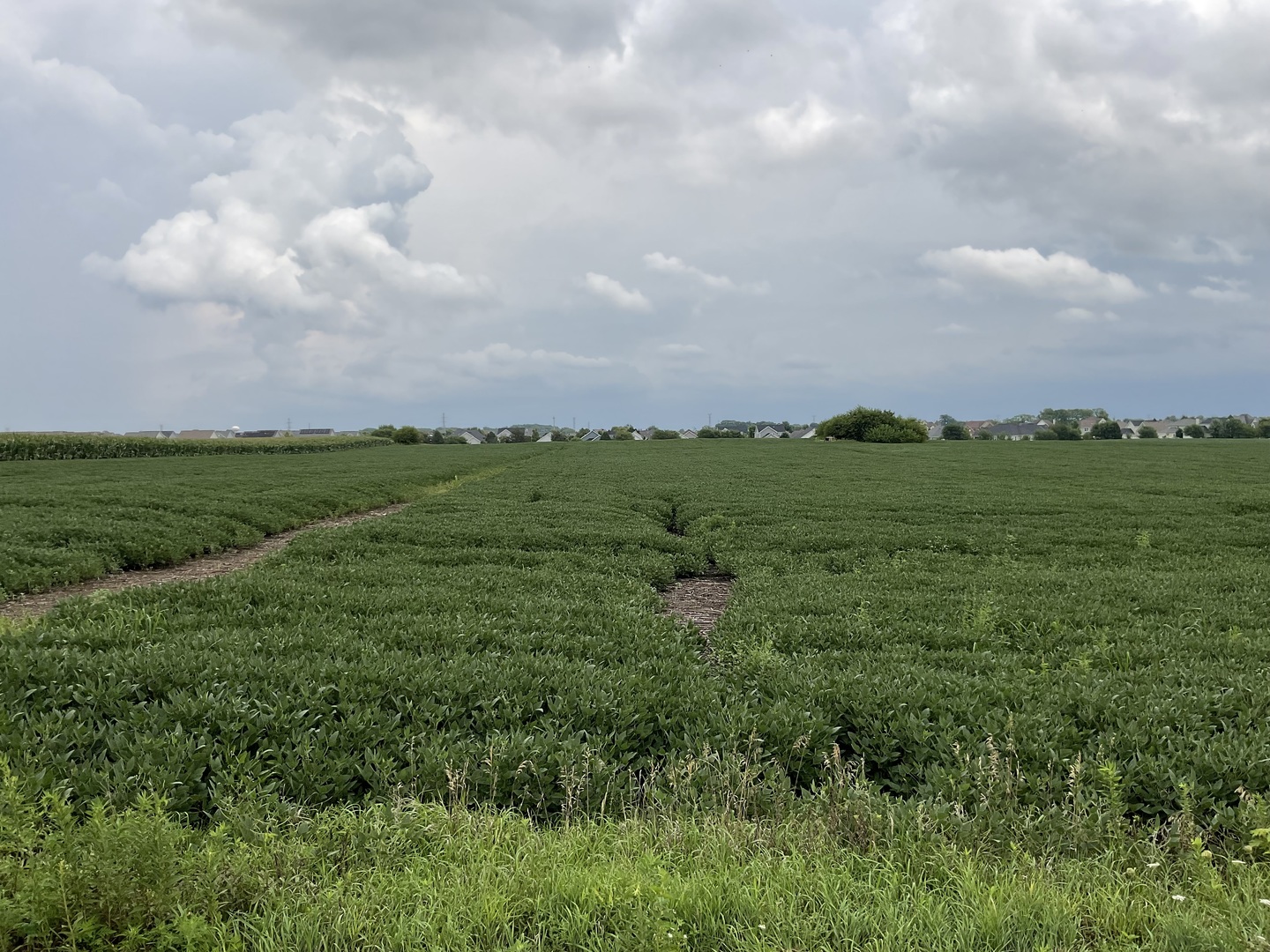 10.38 acres South Heggs Road Plainfield IL 60585