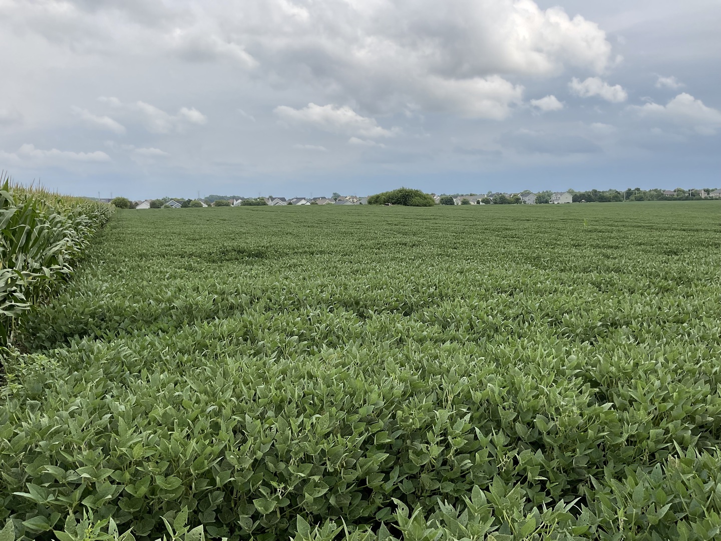 10.38 acres South Heggs Road Plainfield IL 60585