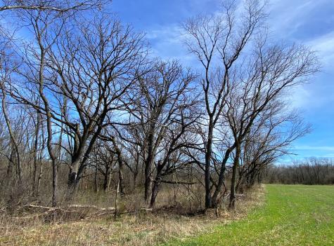 Broadway Street Mchenry IL 60050