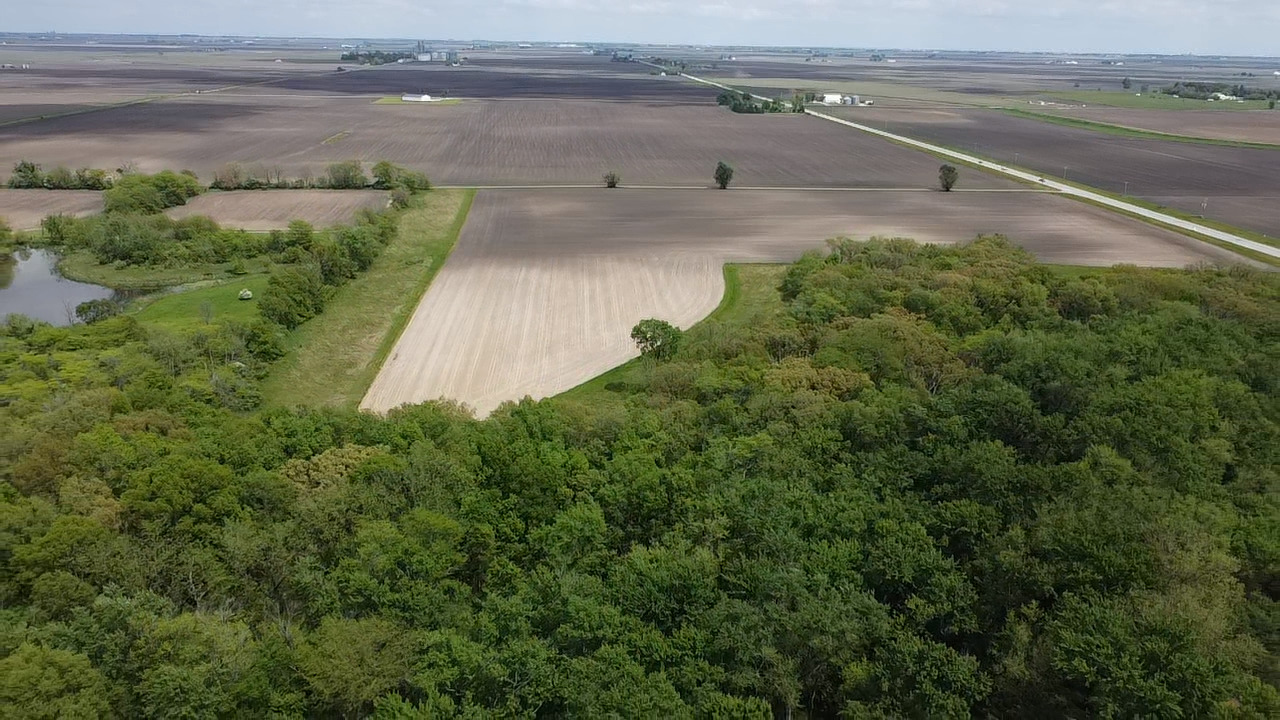 Lot C Highway 136 Highway Fisher IL 61843