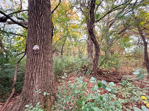 Winters Road Maple Park IL 60151