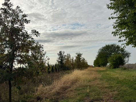 Lot 9 Rowe Road Elburn IL 60119