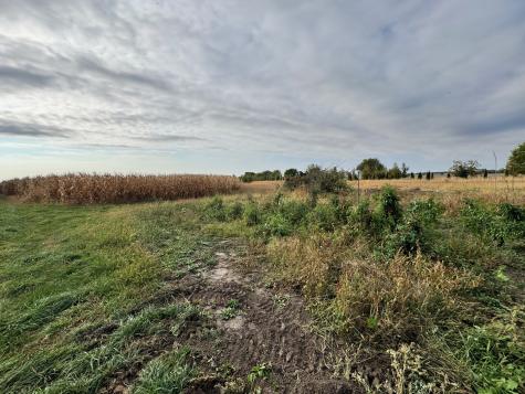 Lot 9 Rowe Road Elburn IL 60119