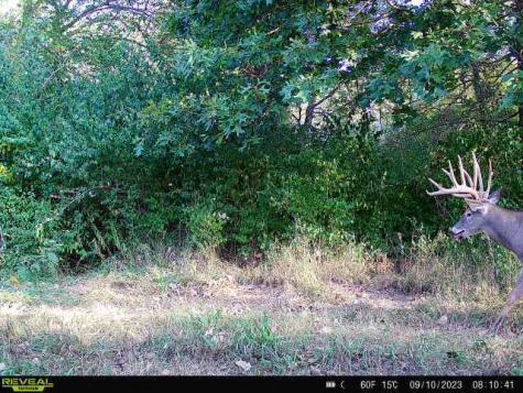 2931 1300 North Avenue Neponset IL 61345