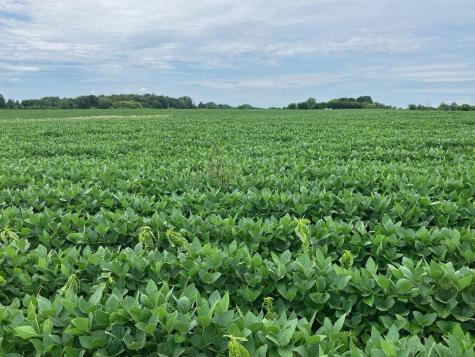 000 Butternut Road Oregon IL 61061
