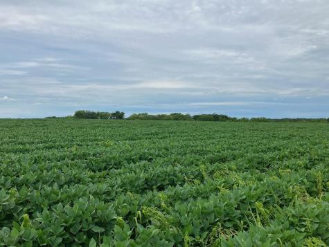 000 Butternut Road Oregon IL 61061