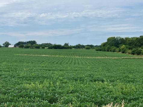 000 Butternut Road Oregon IL 61061
