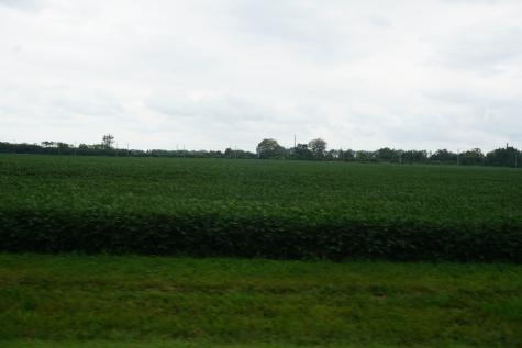 7500 North Route 50 Manteno IL 60950