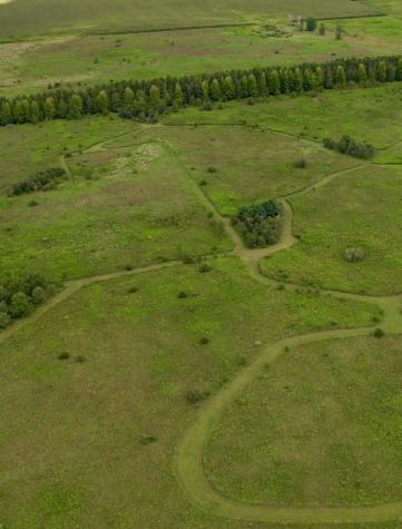 97.49 acres 2700 North Road Ashkum IL 60911