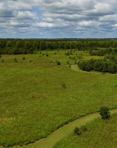 97.49 acres 2700 North Road Ashkum IL 60911