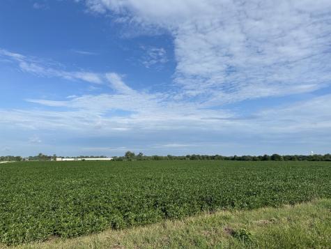 30 Acres Church And Racine Avenue Beecher IL 60401