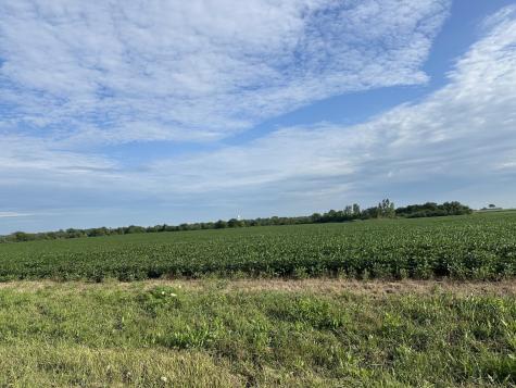 30 Acres Church And Racine Avenue Beecher IL 60401