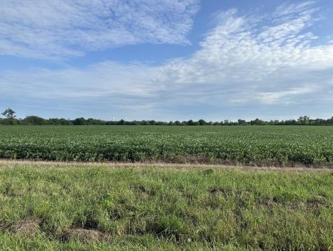 30 Acres Church And Racine Avenue Beecher IL 60401