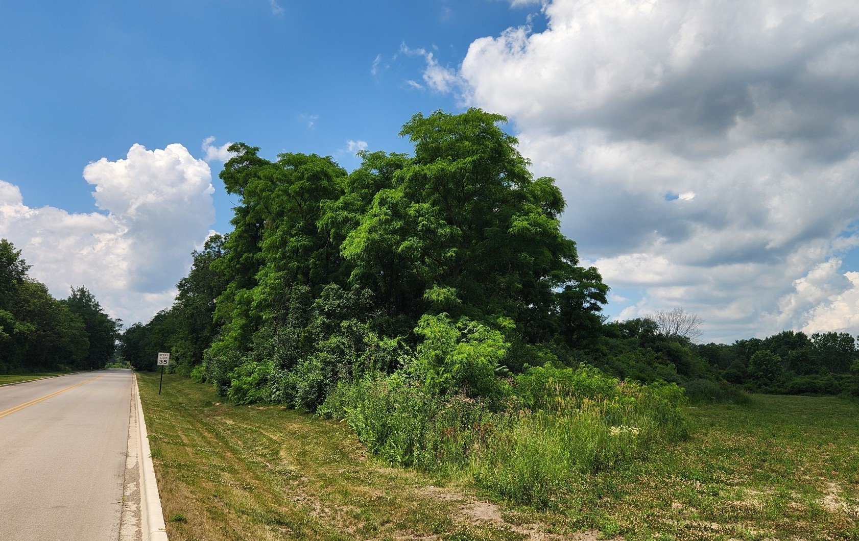 Crete Road Crete IL 60417