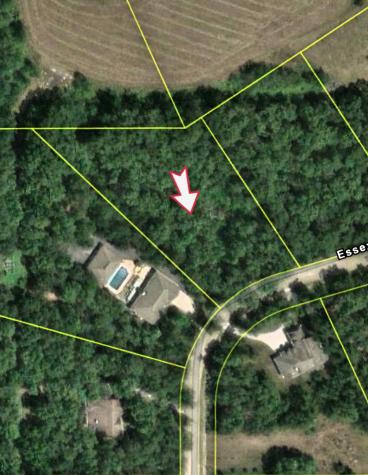 161 Essex Way Essex IL 60935